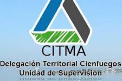 Prioriza Ministerio de Ciencia control de algas nocivas en Cienfuegos