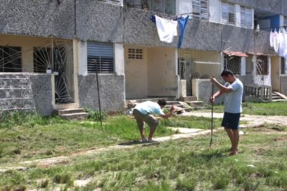 CDR vs aedes: ¡Sin olvidar el dengue!