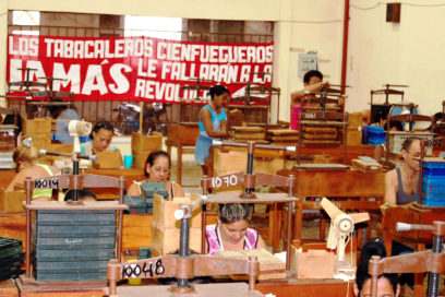 Amplia potencialidad para exportar en la Agricultura cienfueguera