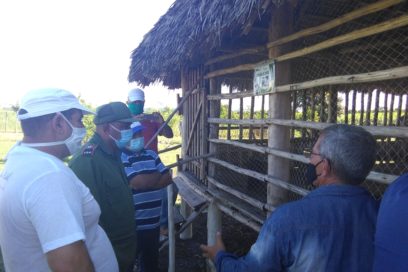 Producir alimentos localmente es para siempre