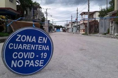 Rebrote para no ignorar