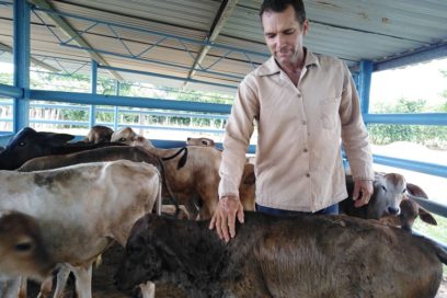 Soñadores se desvelan (+ Fotos)