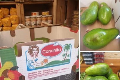 Aboga ministro cubano por seguir apoyando exportación de producciones no estatales