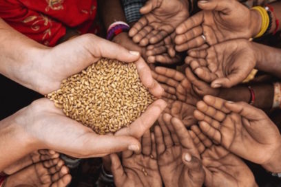 Alerta Banco Mundial sobre posible crisis alimentaria global
