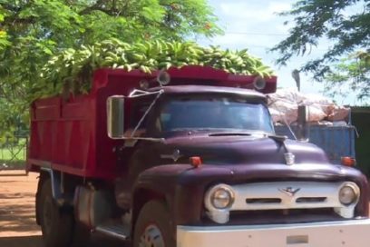 Anuncia Cuba nuevas medidas para fortalecer producción agropecuaria
