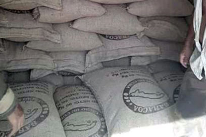 Efectúan venta de cacao para exportación en Guantánamo