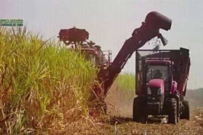 En la faena los azucareros villaclareños celebran su día