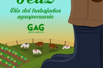 Día del Trabajador Agropecuario: aguacates cubanos por España (+Fotos)