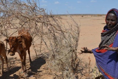 Crisis climática ocasiona severos efectos en África