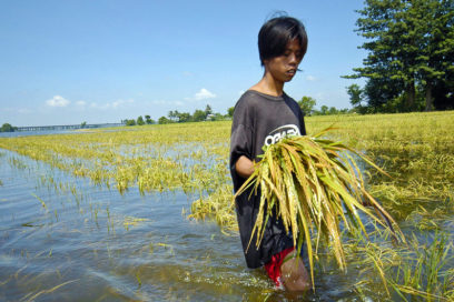 Fenómeno La Niña está ocurriendo, confirman científicos