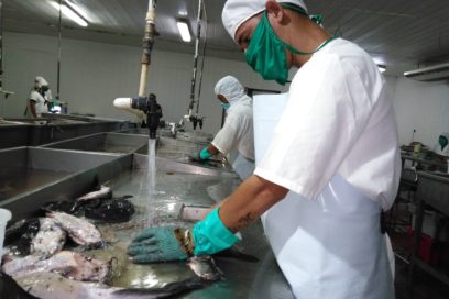 Escamando problemas se triunfa (+Fotos)