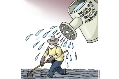 La Guagua: producir comida