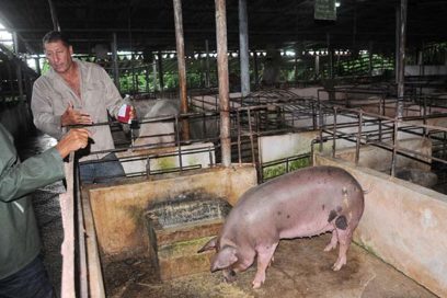 Producir venciendo las dificultades