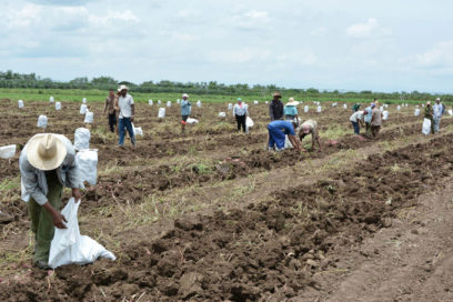 Granma hizo la fiesta de los agropecuarios