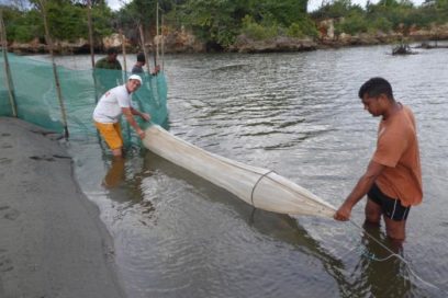 Potencian capacidades de polo exportador en Guantánamo