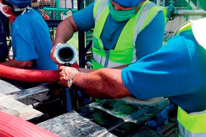 Por la eficiencia en azúcar y derivados