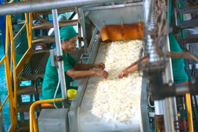 Ciego de Ávila puede normalizarse