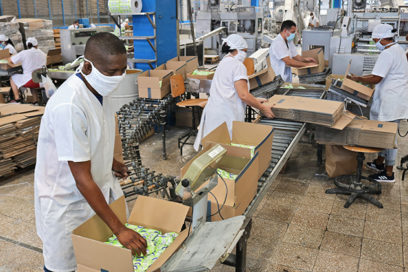 El amor por Cuba nos moviliza