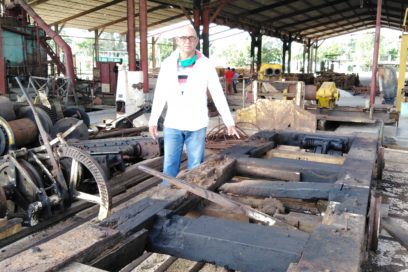 Madera aserrada, madera exportada (+Fotos)