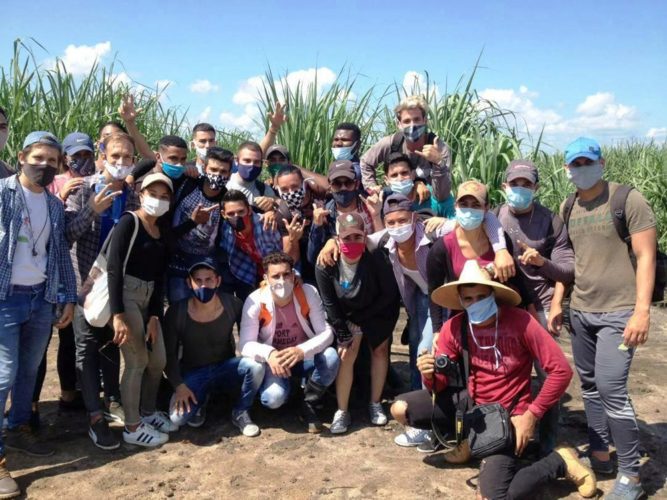 Estudiantes vinculados a una unidad productora de caña. Foto: Cortesía de la Universidad de Cienfuegos