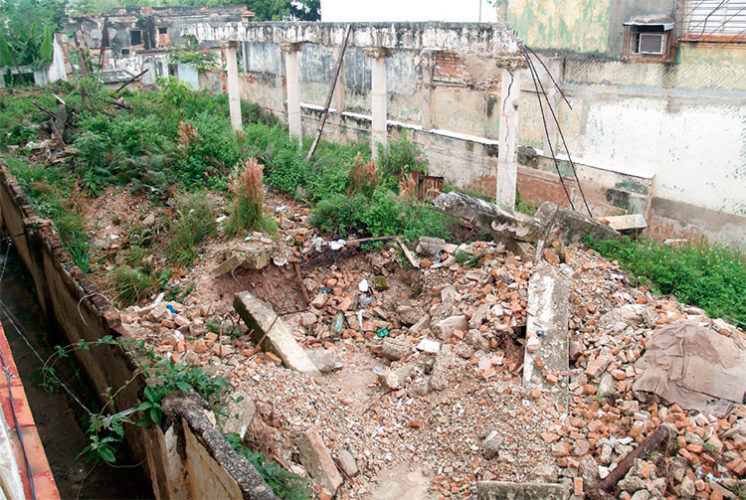 Foto: Norma Molina de los Santos