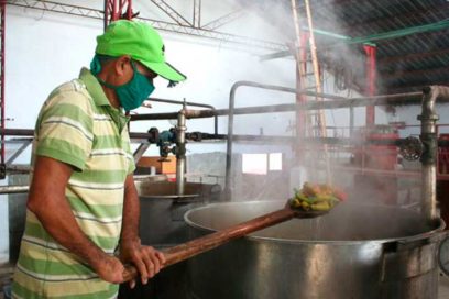Artemisa busca cumplir plan de exportación de 2020