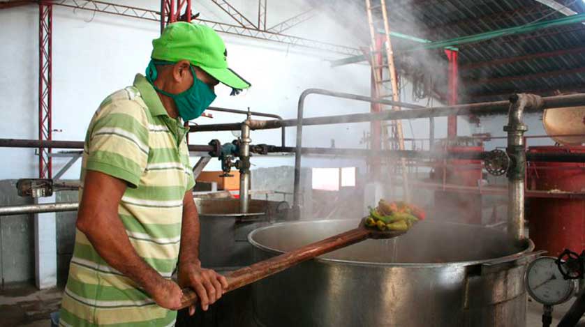renglones de exportación, Artemisa Cuba