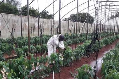 La lluvia paraliza Horquita