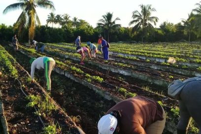 Trabajos voluntarios donde más se necesita