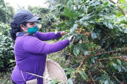 Recuperación en una jornada que inspira a la voluntad del trabajo