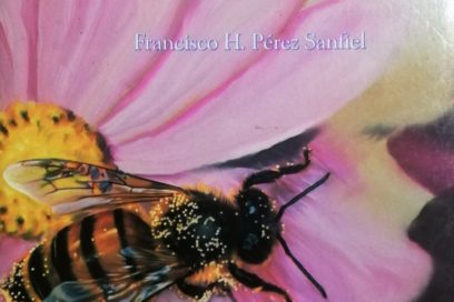 Historias de espadas y abejas