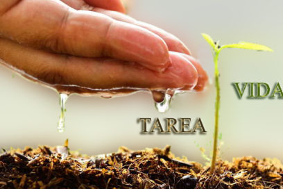 ONU reconoce compromiso de Cuba frente al cambio climático