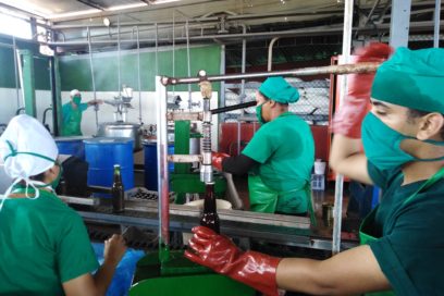 Se pasan de mini (+ Fotos)