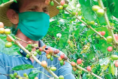 Eta, las secuelas de las lluvias