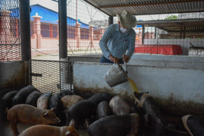 Es necesario un dirigente sindical preparado