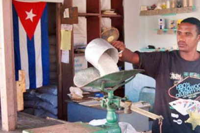 ¿Cómo se organizará la canasta de bienes y servicios de referencia?