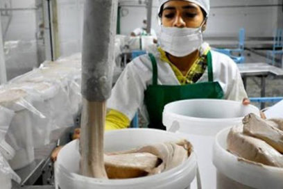 Buen ritmo productivo para industria láctea (+Video)