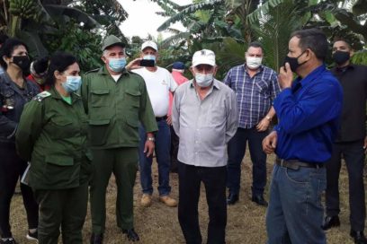 Recorre Machado Ventura áreas productivas de Pinar del Río (+Fotos)