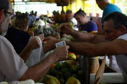¿Cuáles son los precios de los productos agrícolas en Cuba para este fin de año?