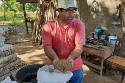 Alternativa pinera en la producción de pienso para la cunicultura