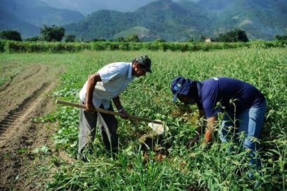 Visión sindical: Movimiento de los Sin Tierra pide reforma agraria