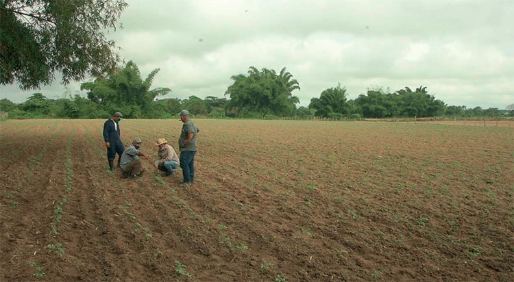 Foto: Pedro Paredes Hernández