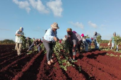 Apoyo sindical a la patria