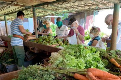Aprueba gobierno de La Habana nuevos precios de productos agropecuarios