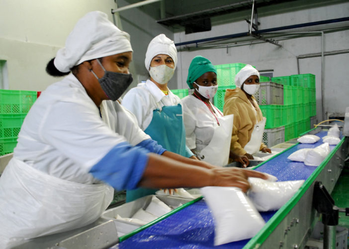 La producción de yogurt de soya no se detiene en el Complejo Lácteo Habana. Foto: Agustín Borrego Torres