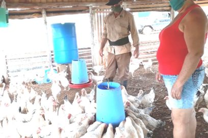 Crece en Matanzas fomento de módulos pecuarios