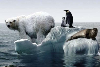 Pérdida mundial de hielo se acelera a ritmo sin precedentes