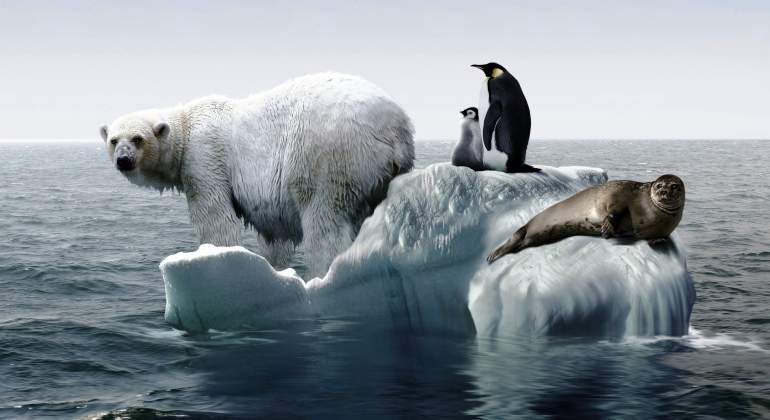 Los expertos afirman que la pérdida de hielo en el planeta sigue “los peores escenarios” de calentamiento global pronosticados por el Panel Intergubernamental sobre Cambio Climático, la máxima autoridad científica de Naciones Unidas en materia del grave trastorno del clima que padece la Tierra. Foto: Tomada de El Economista