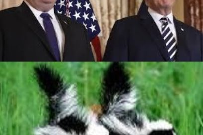 Trump y Pompeo: Dos mofetas terroristas contra el país patrocinador de la solidaridad