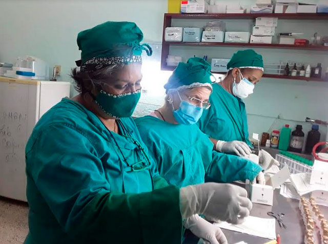 Hay muchas personas trabajando durante horas extras para recoger y clasificar las muestras. Foto: cortesía de la Dirección Provincial de Salud en Guantánamo